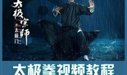 初学太极拳入门基本功视频教程,基本功视频教程精华概览