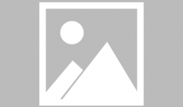 91在线韩国直播