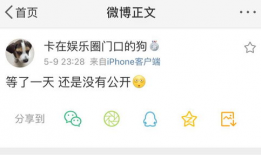 吃瓜在线爆料小说免费阅读,揭秘热门小说免费阅读背后的秘密